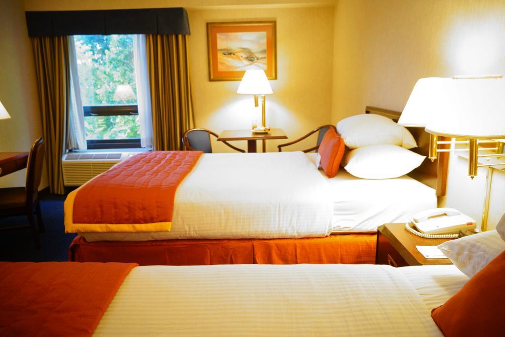 Wyndham Garden Monterrey Norte San Nicolas de los Garza Ngoại thất bức ảnh